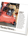365 Dogs 2027 Box Calendar