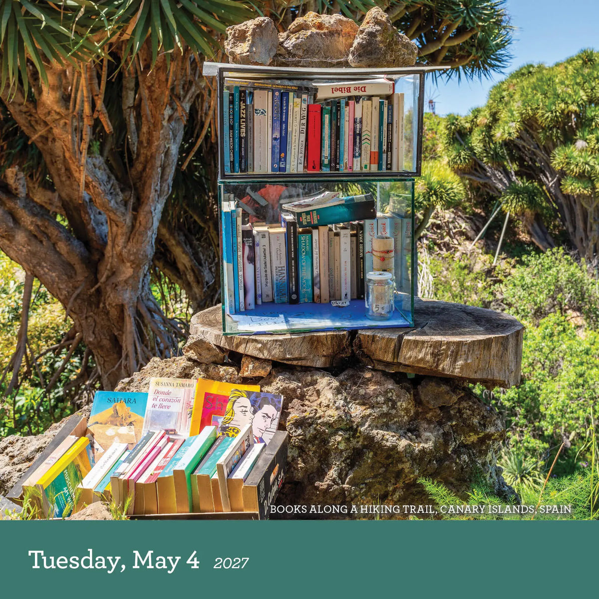 A Book Lovers 2027 Box Calendar