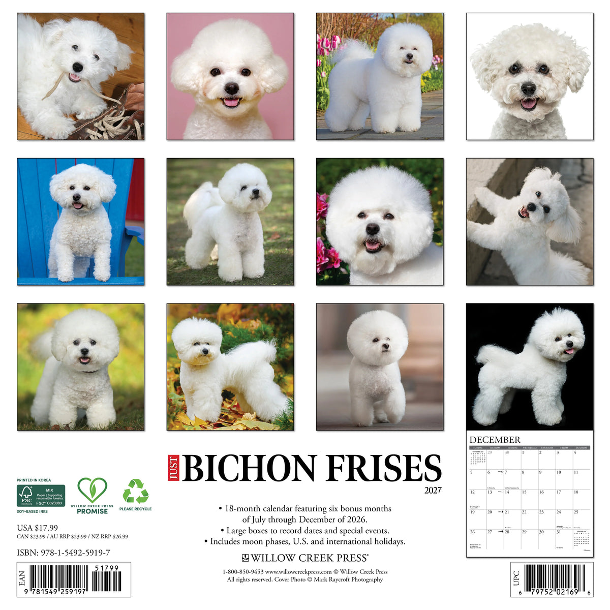 Just Bichon Frises 2027 Wall Calendar