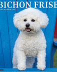 Just Bichon Frises 2027 Wall Calendar
