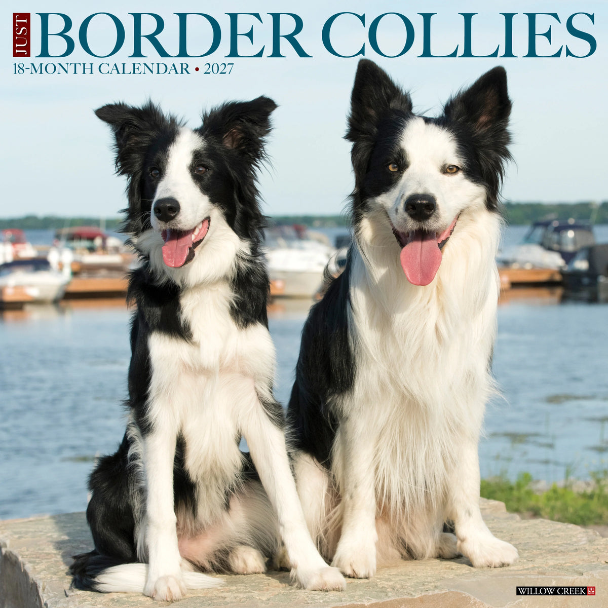 Just Border Collies 2027 Wall Calendar