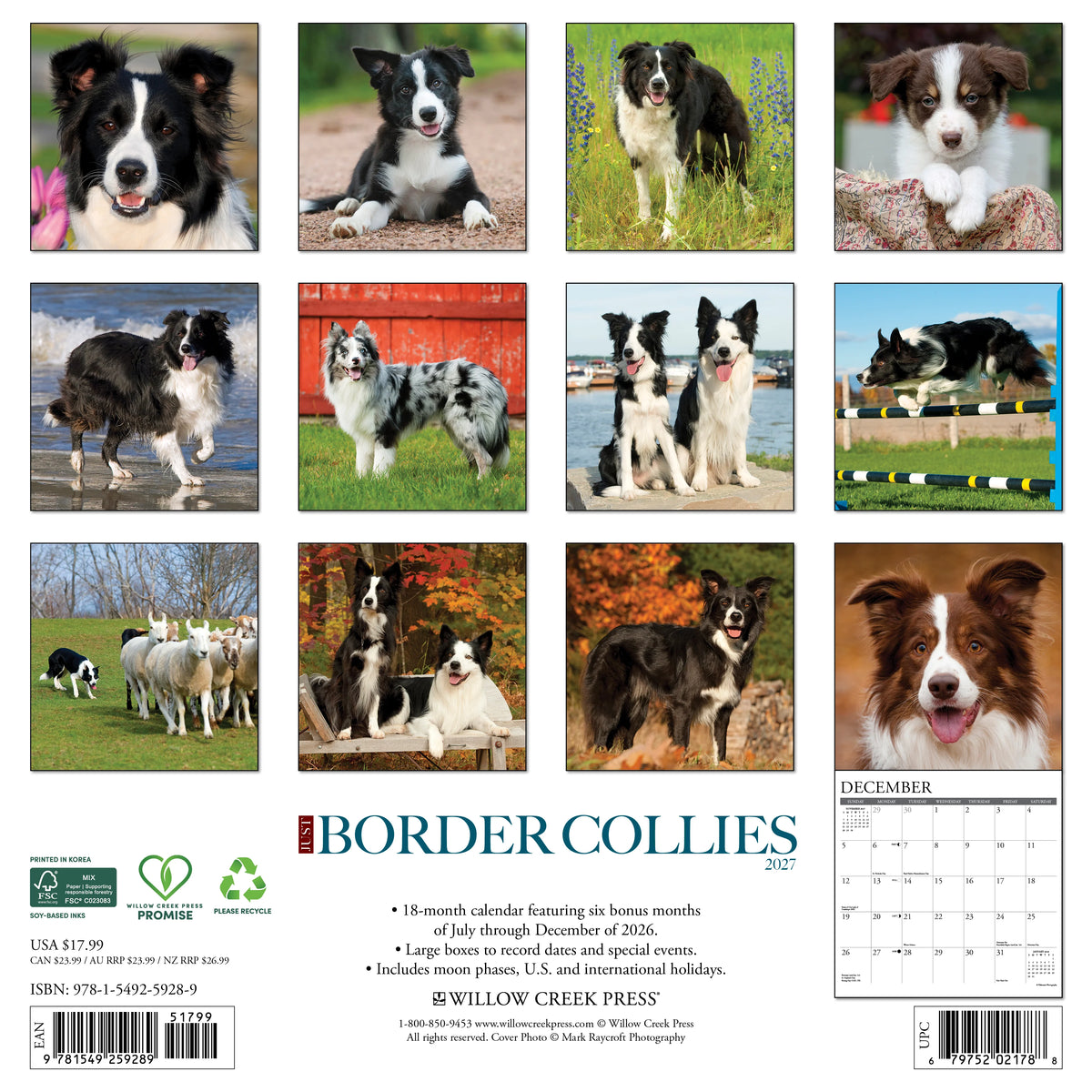 Just Border Collies 2027 Wall Calendar