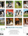Just Border Collies 2027 Wall Calendar