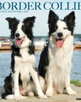Just Border Collies 2027 Wall Calendar