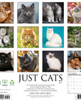 Just Cats 2027 Wall Calendar