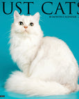Just Cats 2027 Wall Calendar