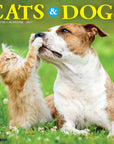 Cats & Dogs 2027 Wall Calendar