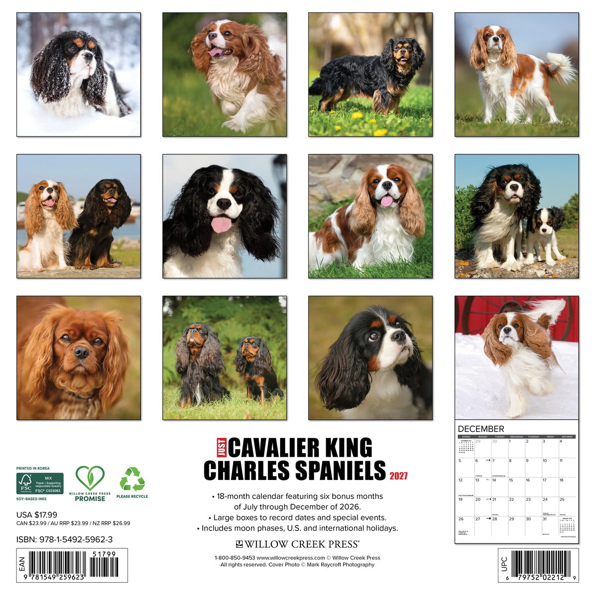 Just Cavalier King Charles Spaniels 2027 Wall Calendar