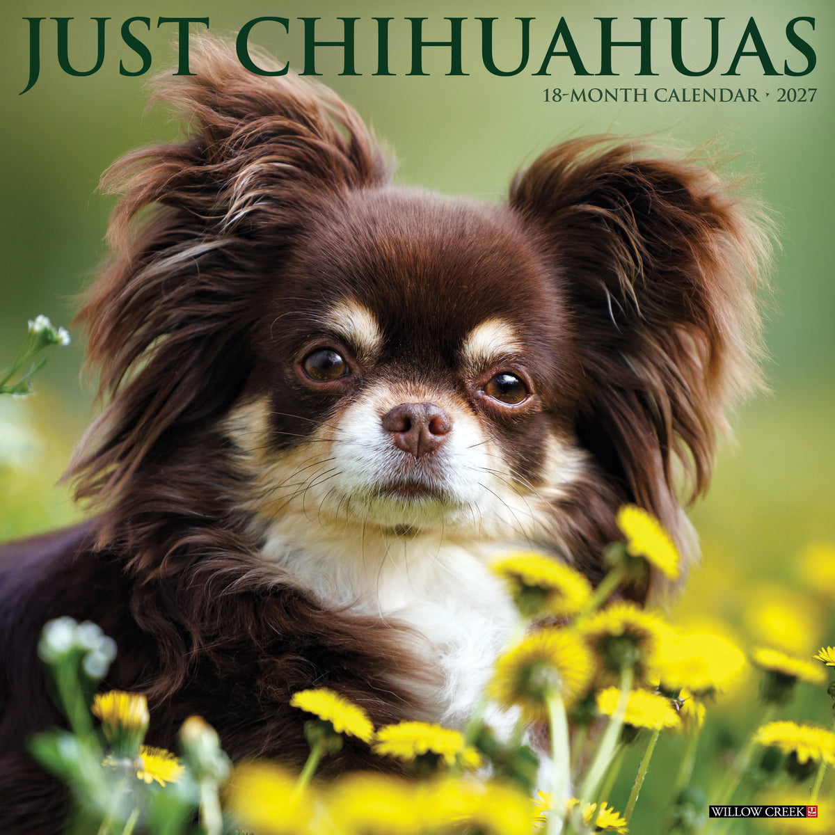 Just Chihuahuas 2027 Wall Calendar