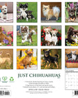 Just Chihuahuas 2027 Wall Calendar