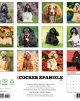 Just Cocker Spaniels 2027 Wall Calendar