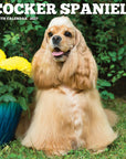 Just Cocker Spaniels 2027 Wall Calendar
