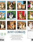 Just Corgis 2027 Wall Calendar