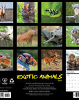 Exotic Animals 2027 Wall Calendar