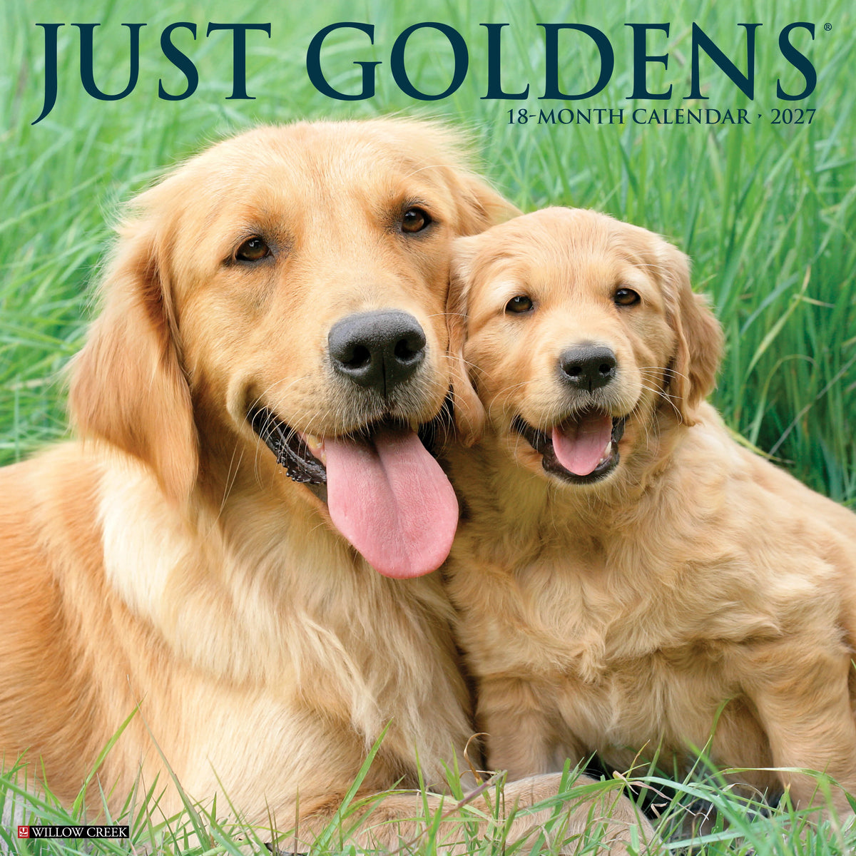 Just Goldens 2027 Wall Calendar