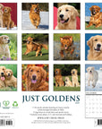 Just Goldens 2027 Wall Calendar
