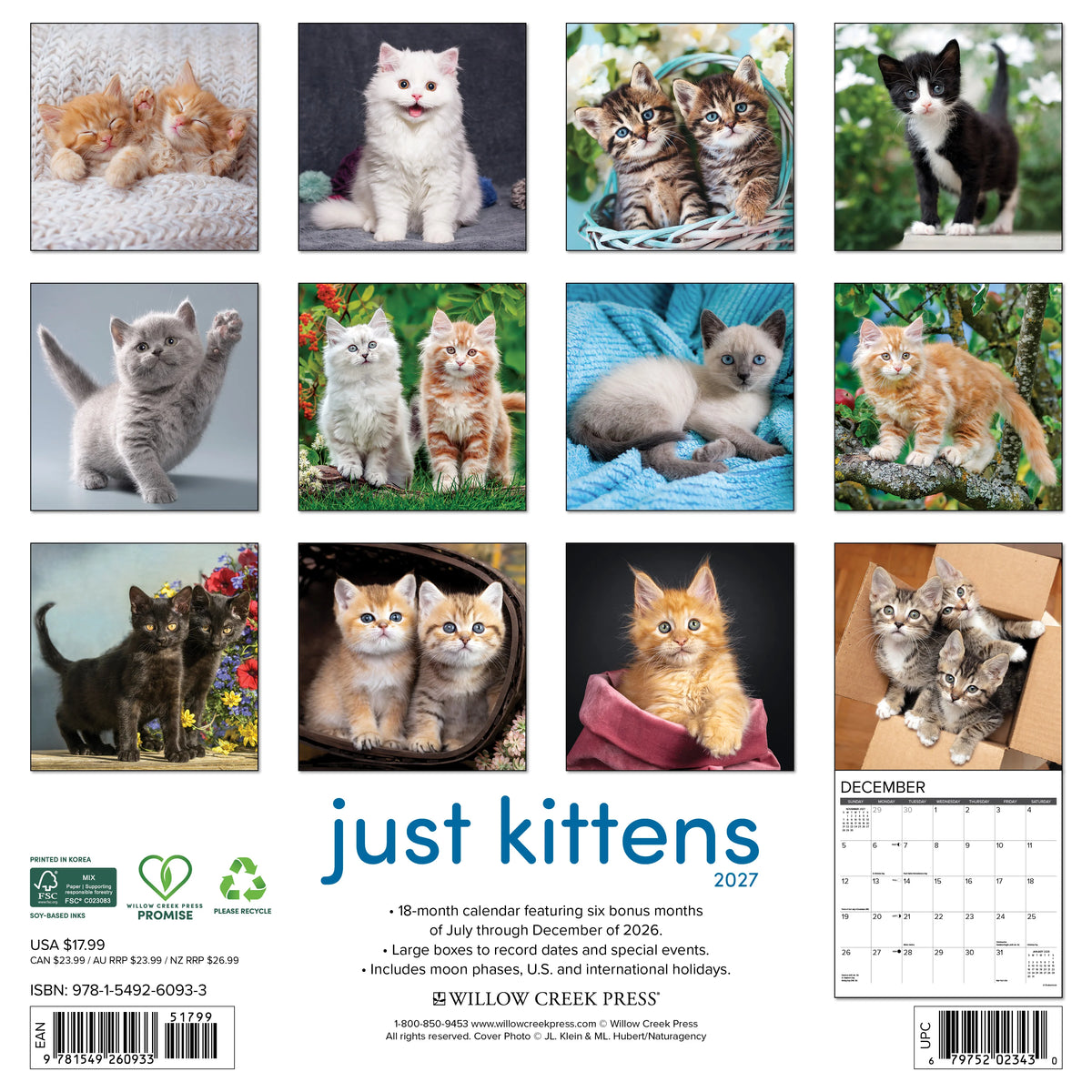 Just Kittens 2027 Wall Calendar