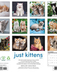 Just Kittens 2027 Wall Calendar