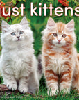 Just Kittens 2027 Wall Calendar