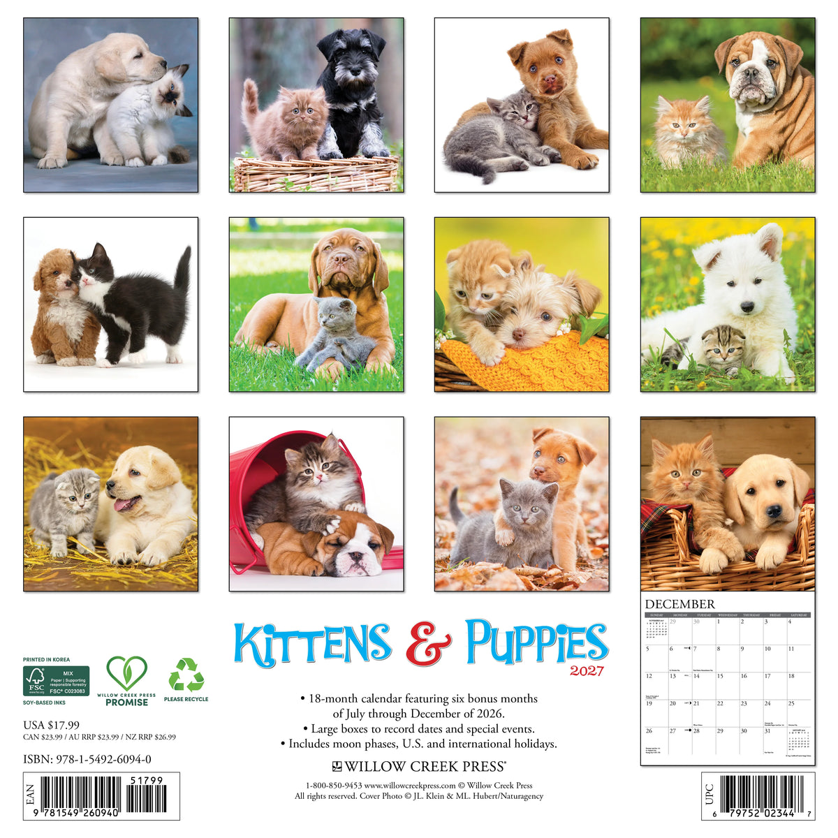 Kittens &amp; Puppies 2027 Wall Calendar