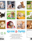 Kittens & Puppies 2027 Wall Calendar