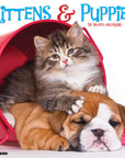 Kittens & Puppies 2027 Wall Calendar