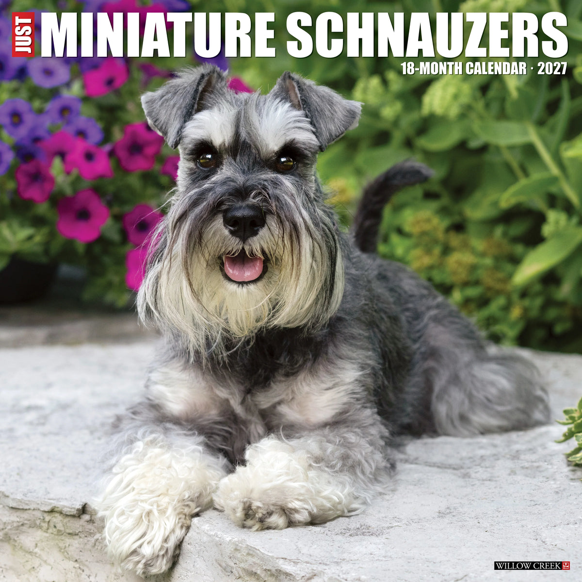 Just Miniature Schnauzers 2027 Wall Calendar