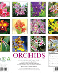 Orchids 2027 Wall Calendar