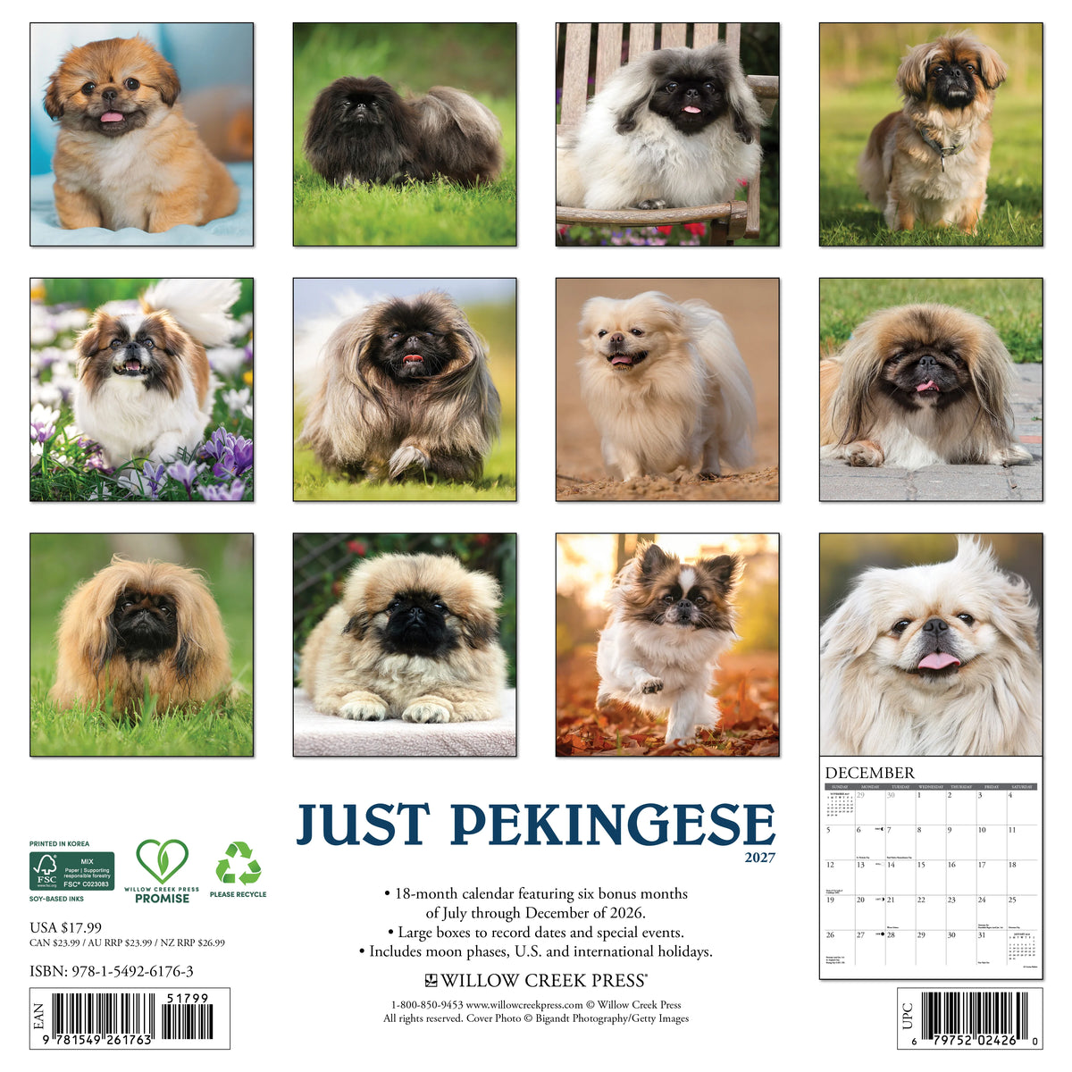 Just Pekingese 2027 Wall Calendar