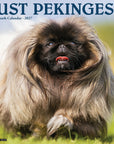Just Pekingese 2027 Wall Calendar