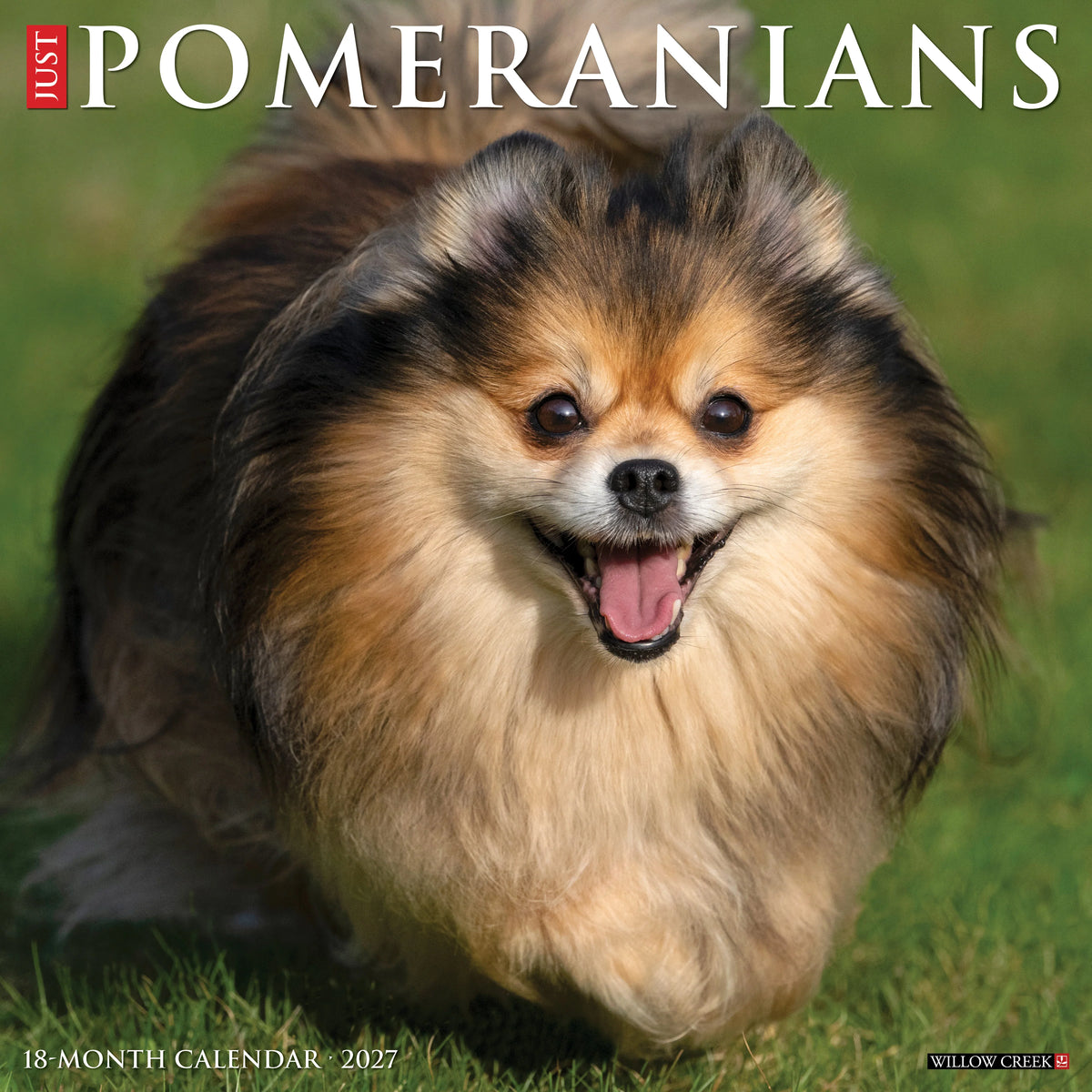 Just Pomeranians 2027 Wall Calendar