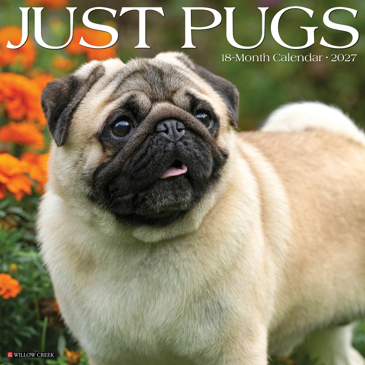 Just Pugs 2027 Wall Calendar