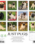 Just Pugs 2027 Wall Calendar