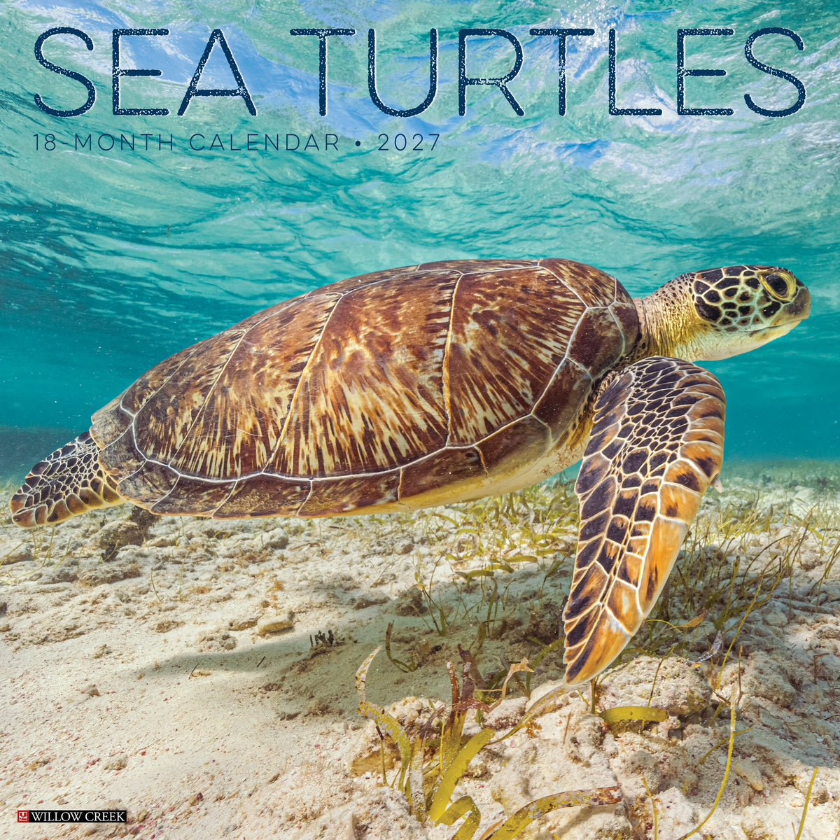 Sea Turtles 2027 Wall Calendar
