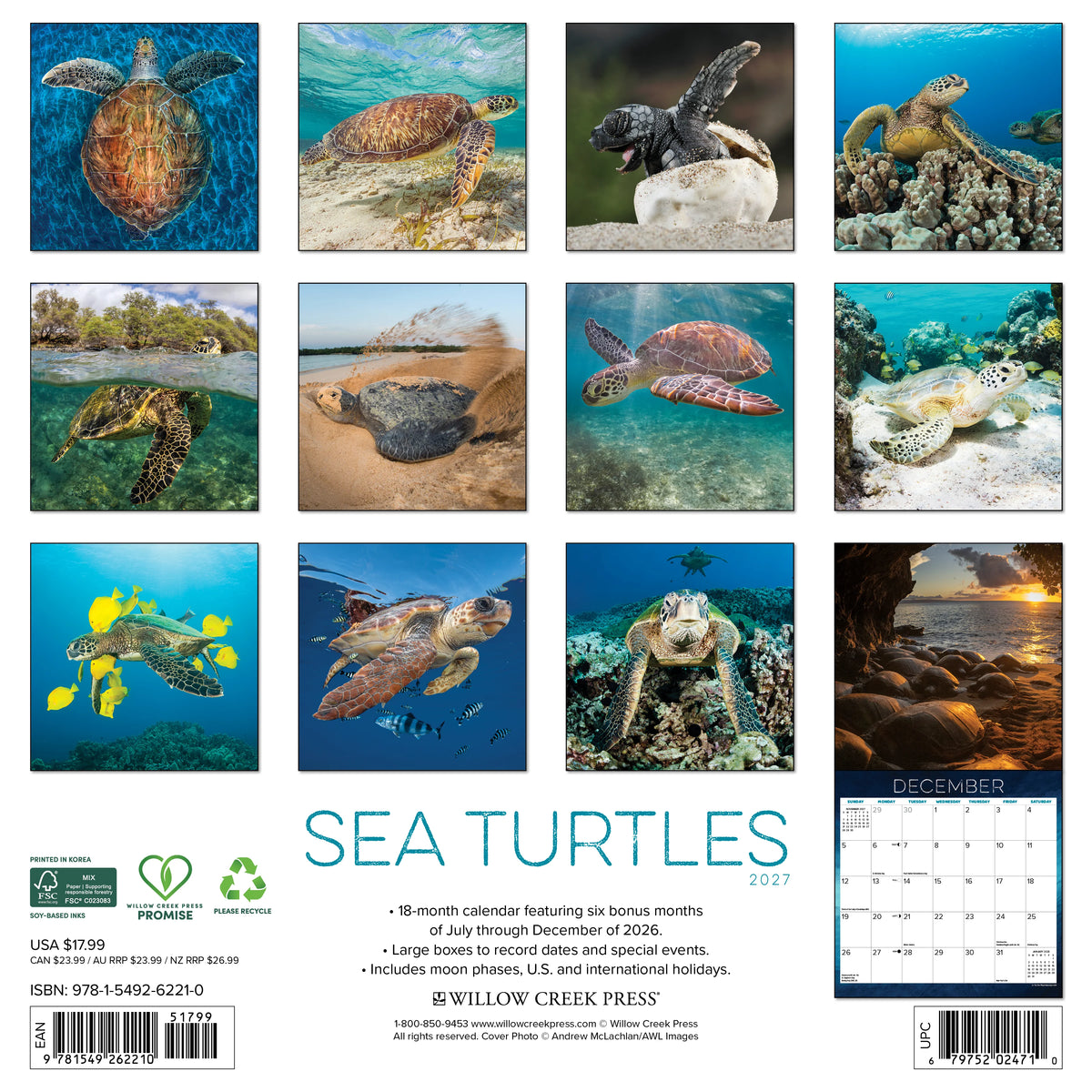 Sea Turtles 2027 Wall Calendar