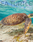 Sea Turtles 2027 Wall Calendar