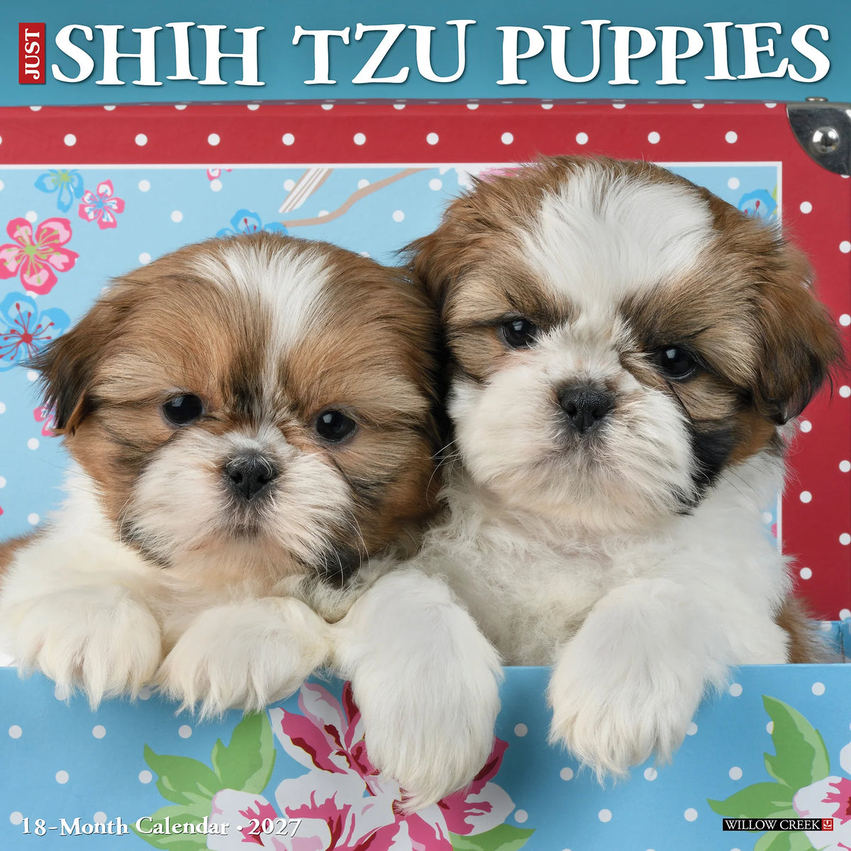 Shih Tzu Puppies 2027 Wall Calendar