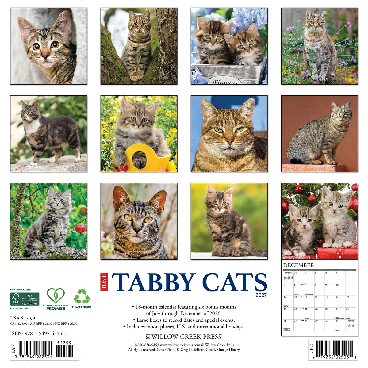 Tabby Cats 2027 Wall Calendar