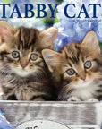 Tabby Cats 2027 Wall Calendar