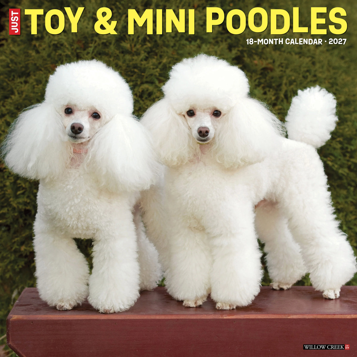 Just Toy &amp; Miniature Poodles 2027 Wall Calendar