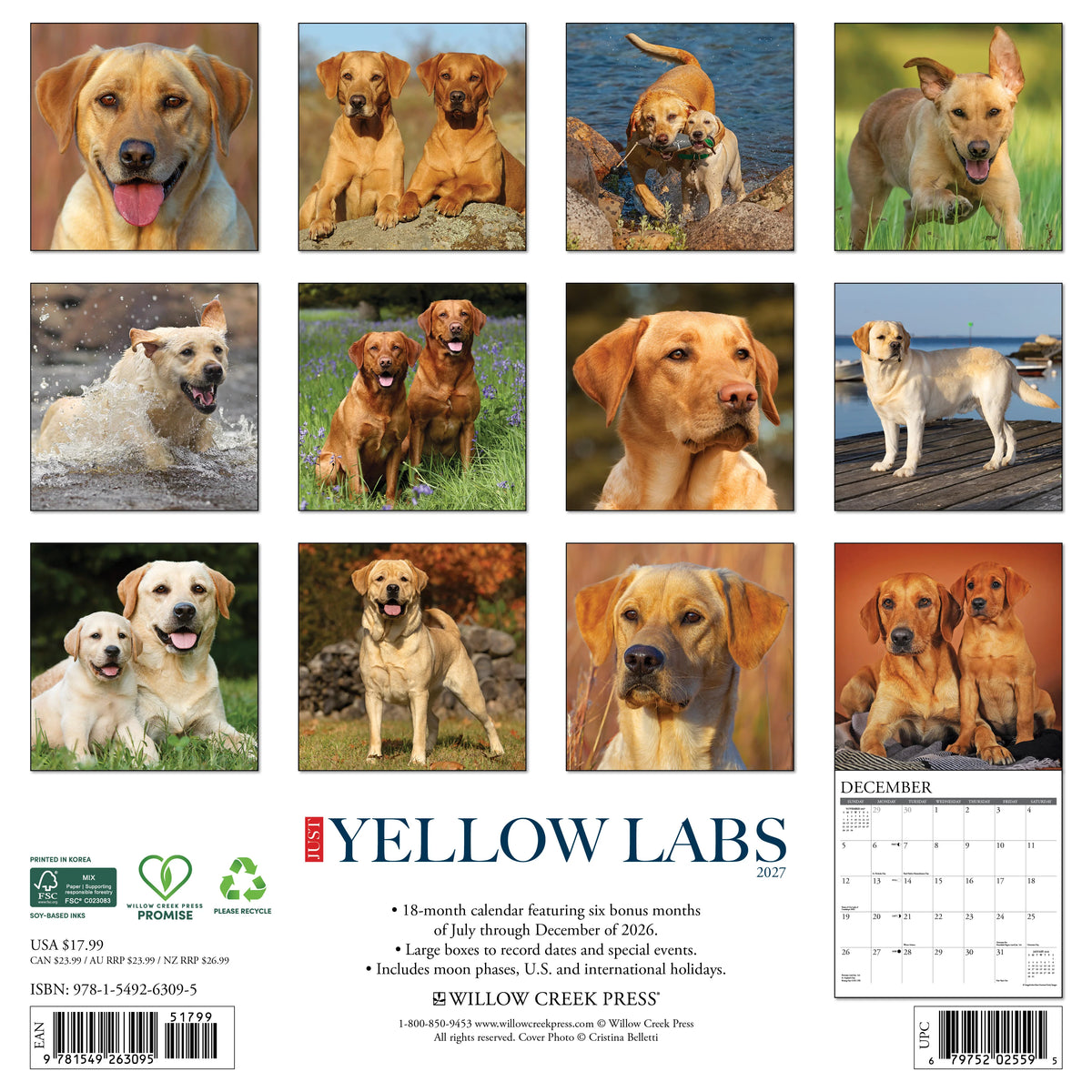 Just Yellow Labs 2027 Wall Calendar