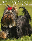 Just Yorkies 2027 Wall Calendar
