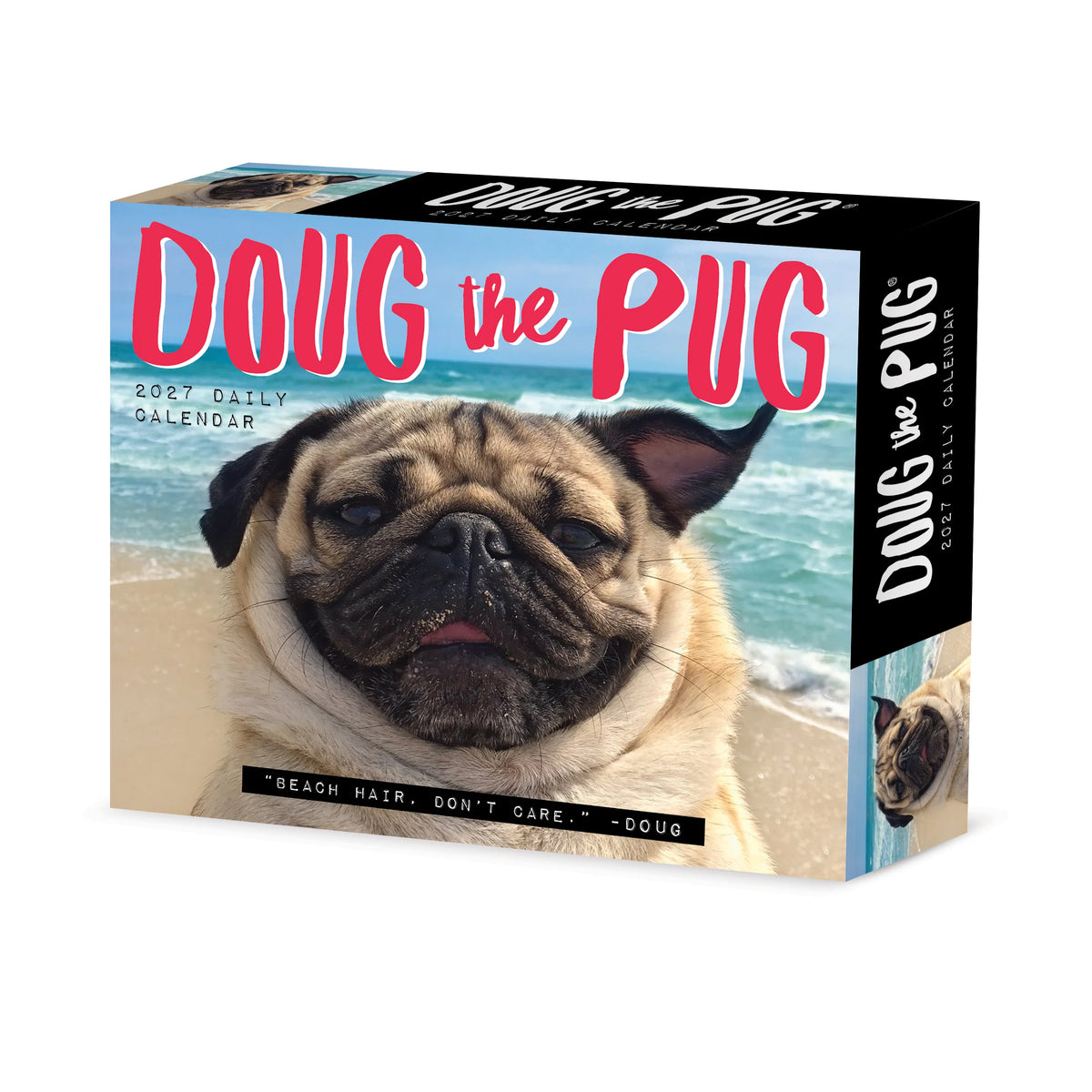 Doug The Pug 2027 Box Calendar