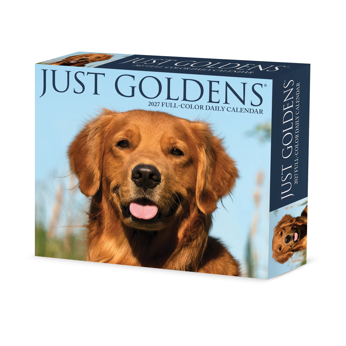 Just Goldens 2027 Box Calendar