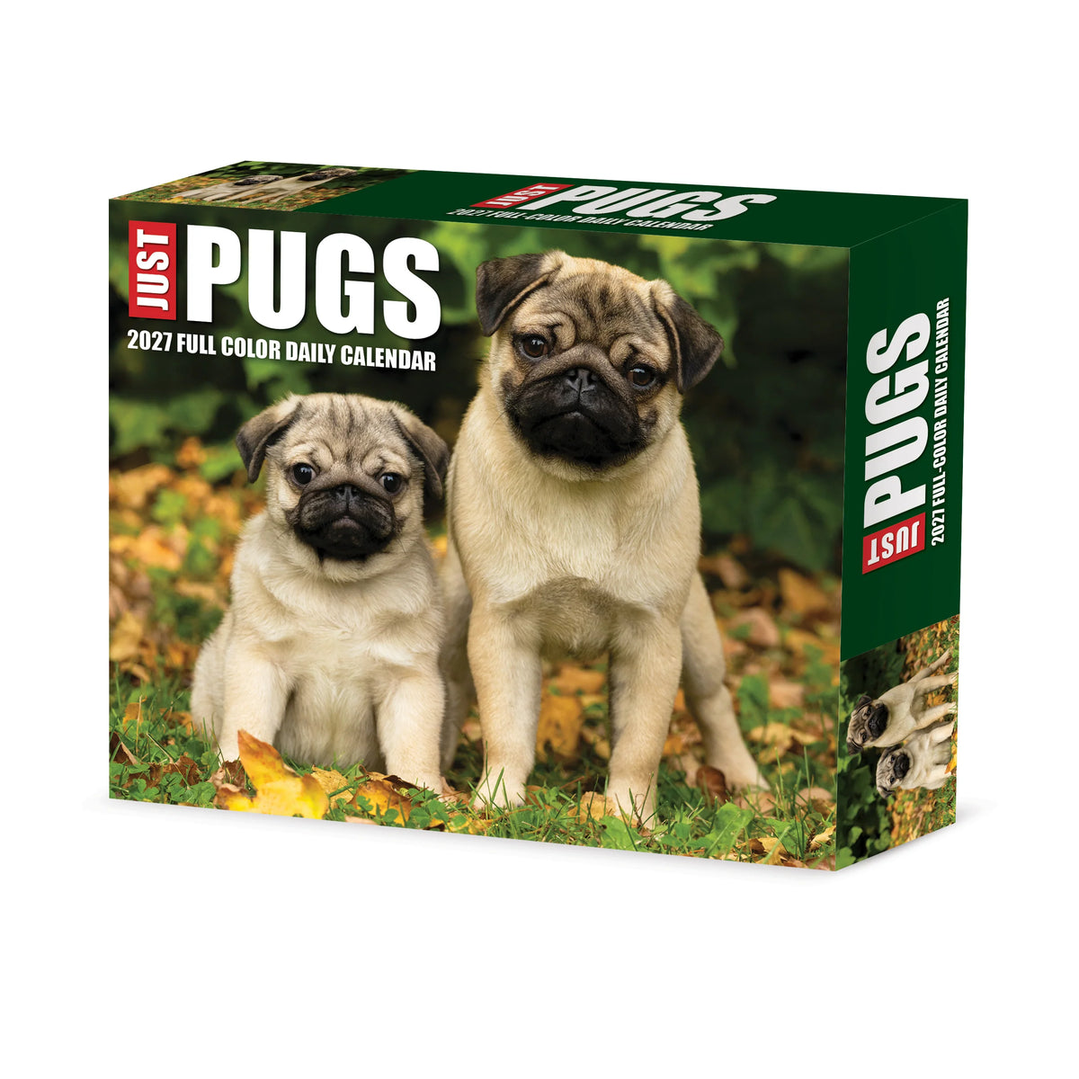 Just Pugs 2027 Box Calendar