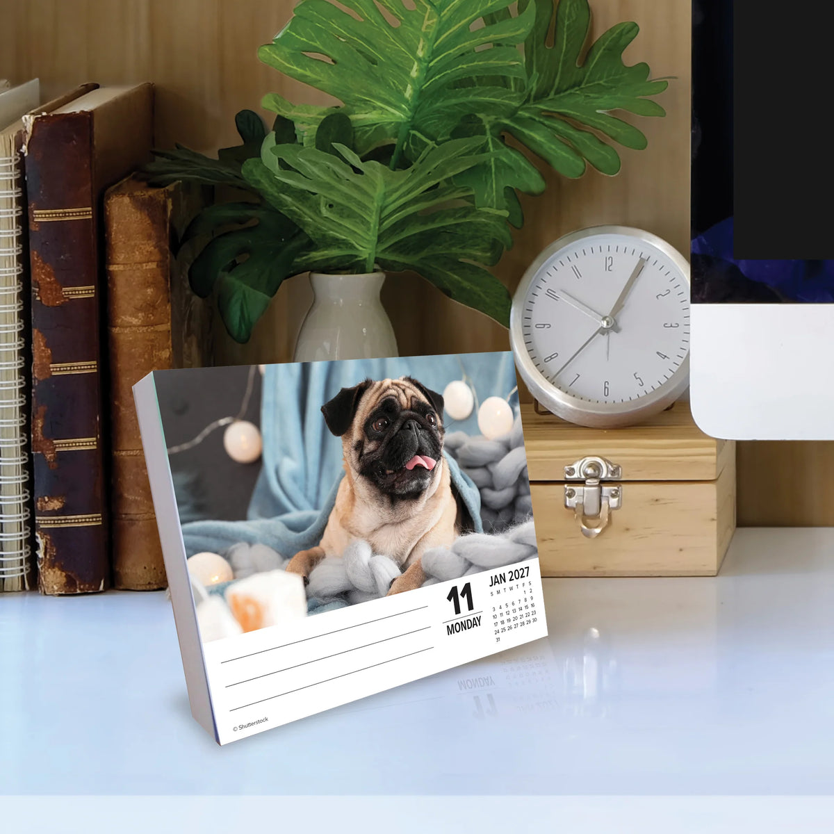 Just Pugs 2027 Box Calendar