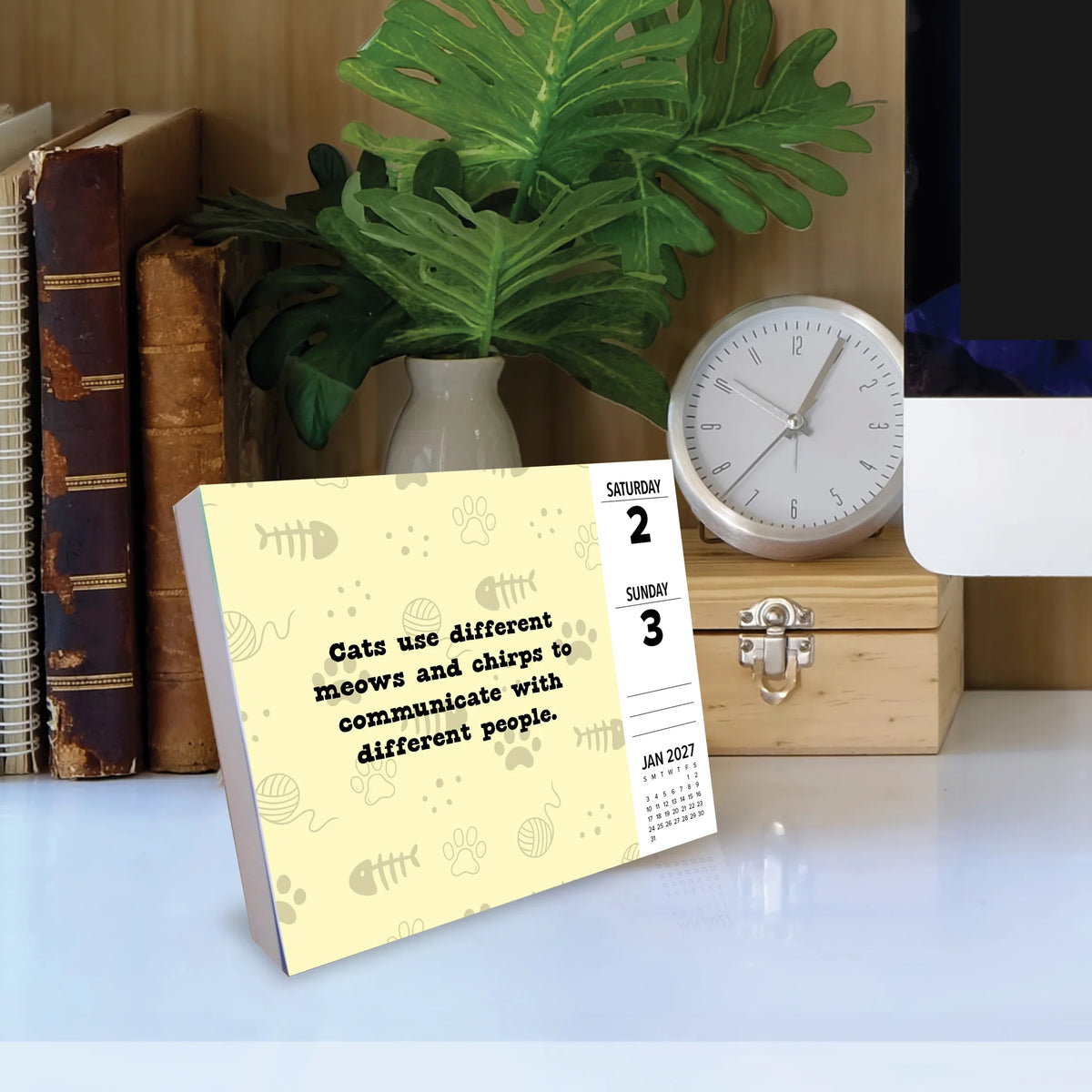 All About Cats 2027 Box Calendar