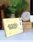 All About Cats 2027 Box Calendar