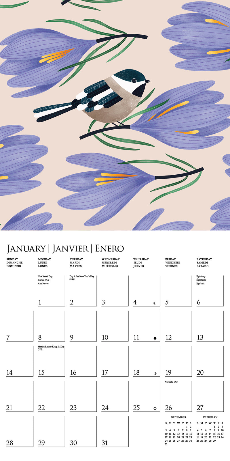 fancy-feathers-2024-wall-calendar