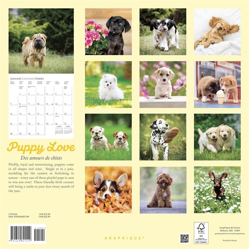 Puppy Love 2024 Wall Calendar Bookazine HK   978166482114 1 